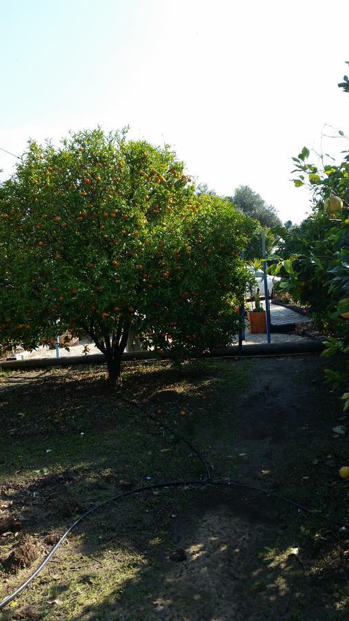 Asbn Magic Garden Villa อักโก ภายนอก รูปภาพ