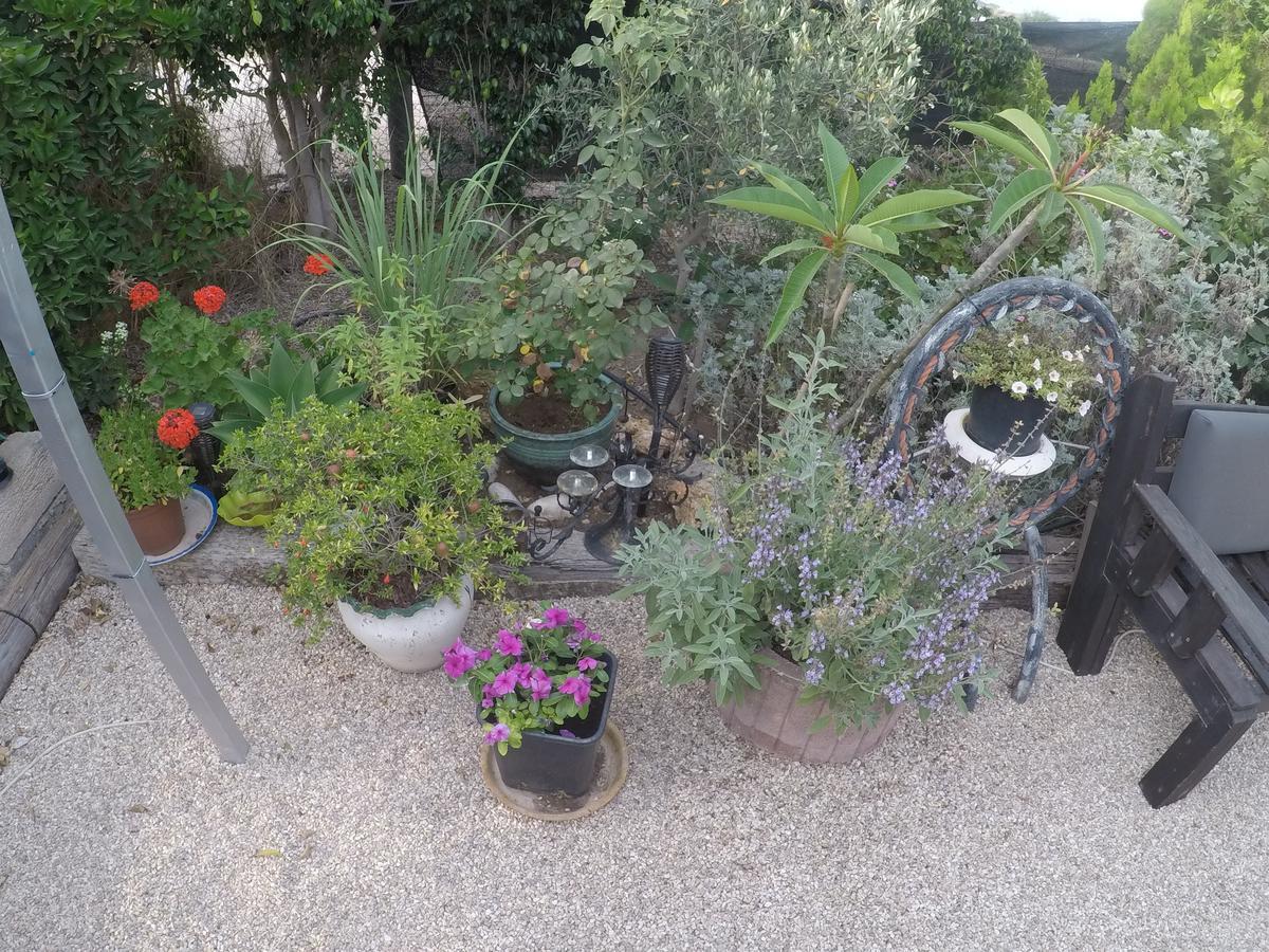 Asbn Magic Garden Villa อักโก ภายนอก รูปภาพ